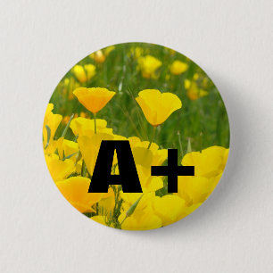 A+ buttons Poppy Flowers Garden Meadow