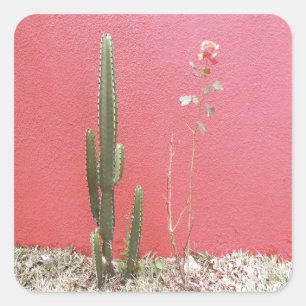 A cactus and a rose square sticker