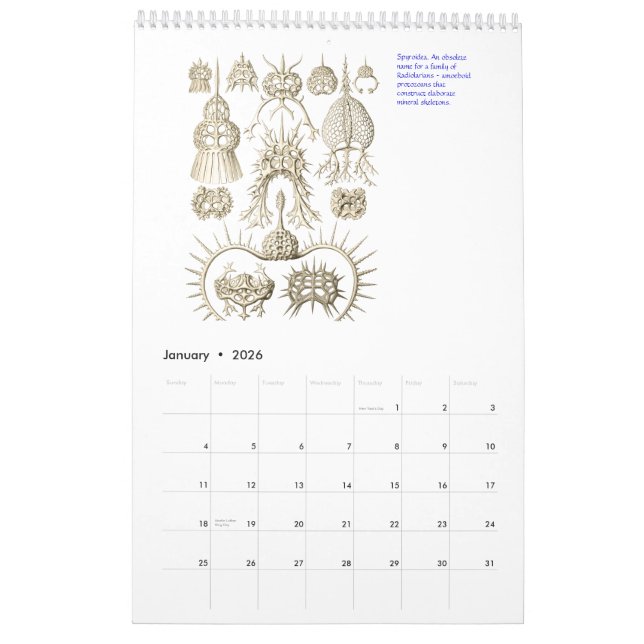 A Calendar from the Drawings of Ernst Haeckel. (Jan 2026)