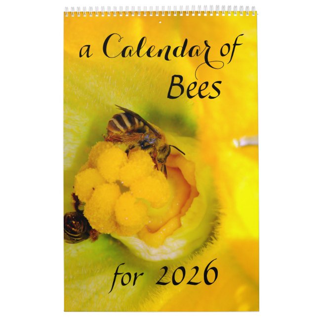 A Calendar of Bees for 2025 - 11 x 14¼ Inch (Cover)