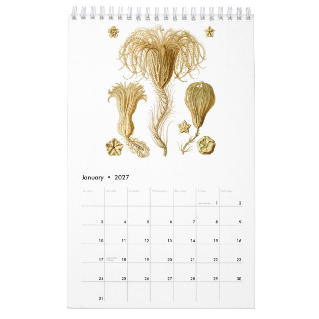 A calendar of Drawings from Ernst Haeckel (Jan 2027)