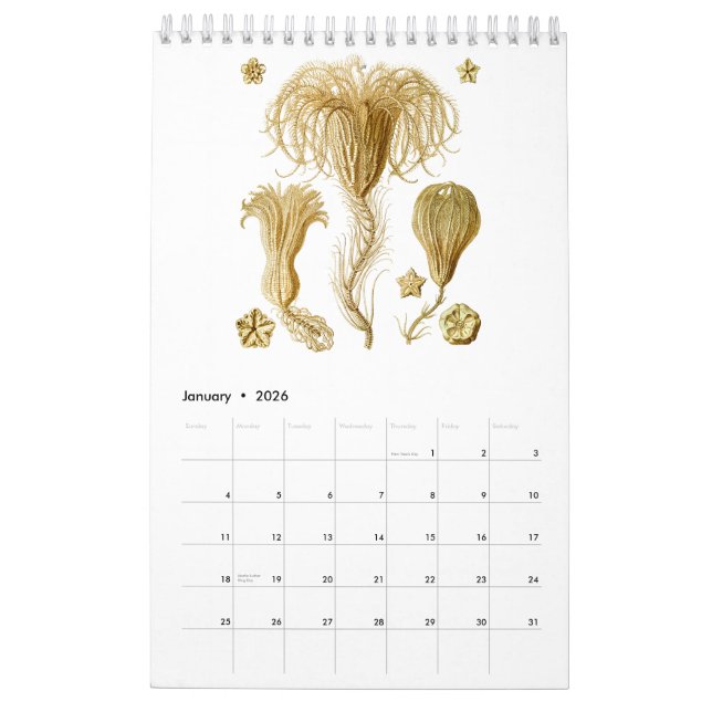 A calendar of Drawings from Ernst Haeckel (Jan 2026)