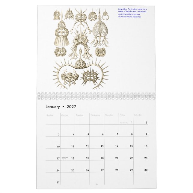 A calendar of microscopic plants and animals. (Jan 2027)