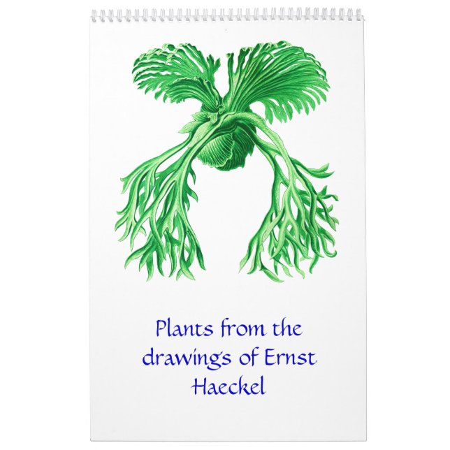 A calendar of plant drawings. (Cover)
