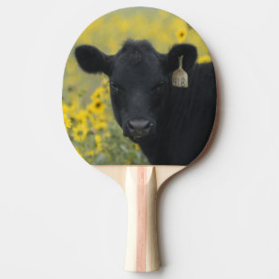 A calf amid the sunflowers of the Nebraska Ping Pong Paddle