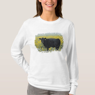 A calf amid the sunflowers of the Nebraska T-Shirt