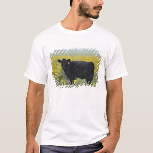 A calf amid the sunflowers of the Nebraska T-Shirt