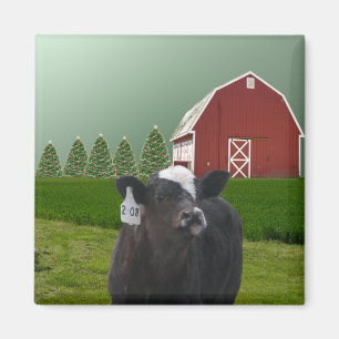 A Calf's First Christmas Magnet