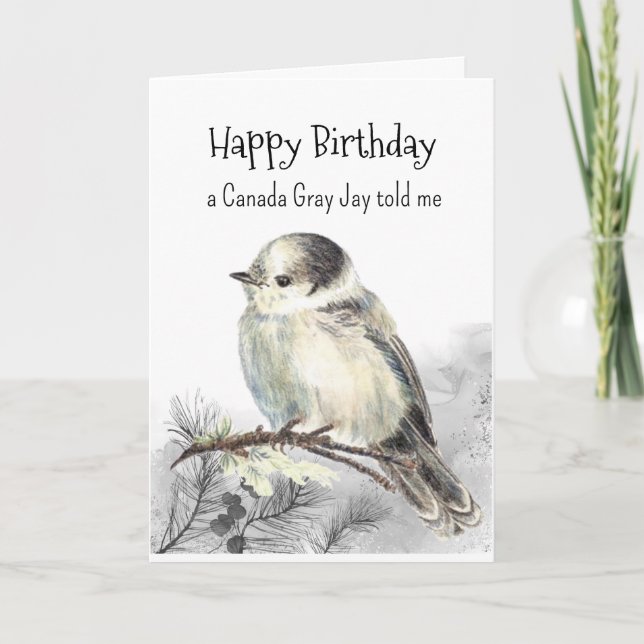 A Canada Grey Jay Personality Birthday Fun Bird Card (Front)