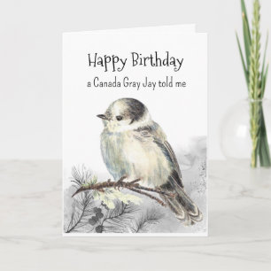 A Canada Grey Jay Personality Birthday Fun Bird Card