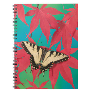 A Canadian Tiger Swallowtail Butterfly Notebook