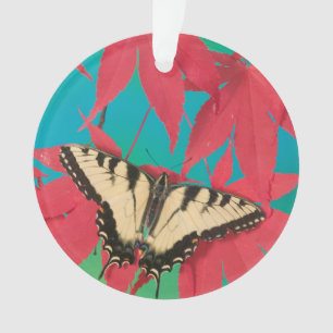 A Canadian Tiger Swallowtail Butterfly Ornament