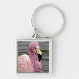 A captive photo of a Andean Flamingo Key Ring