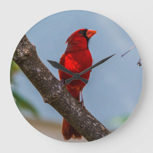 A Cardinal Acrylic Wall Clock, Round Large Clock