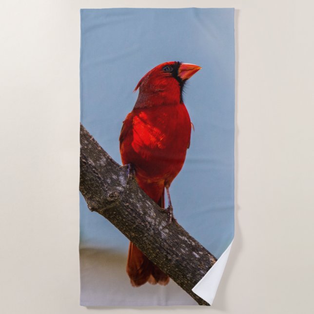 A Cardinal Beach Towel (Front)