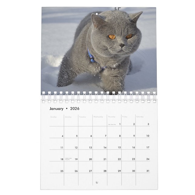 A Cat for Every Season Calendar (Jan 2026)