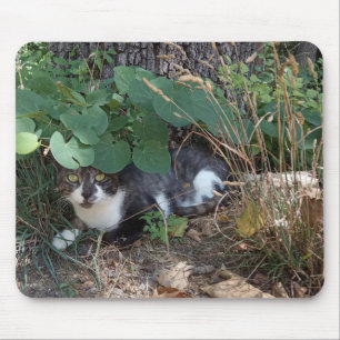 A Cat hiding Mouse Pad