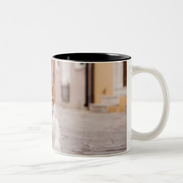 A cat in the streets of Burano, Italy.  2006. Two-Tone Coffee Mug (Right)