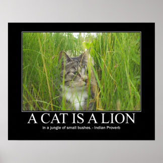 A Cat is a Lion Indian Proverb Artwork Poster
