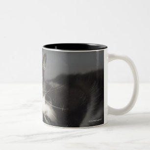A Cat Licking It's Paw Two-Tone Coffee Mug