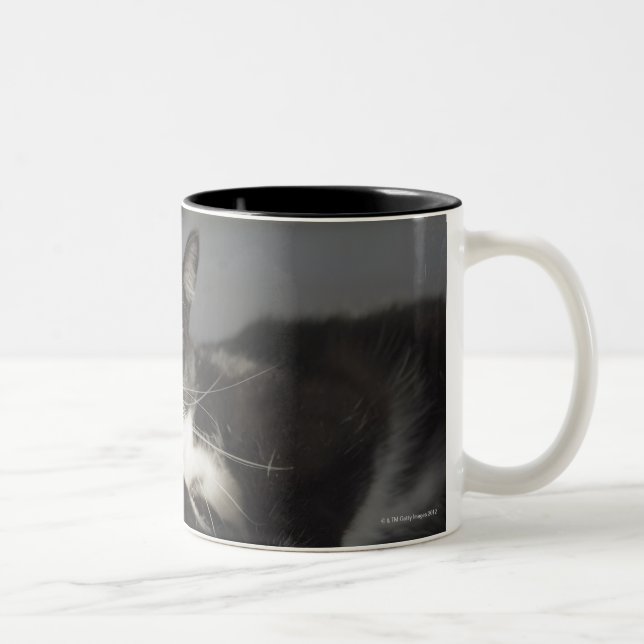 A Cat Licking It's Paw Two-Tone Coffee Mug (Right)