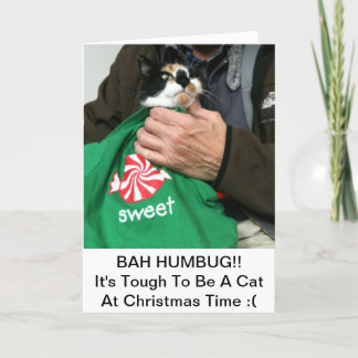 A Cat Lovers Christmas Card!!! Holiday Card