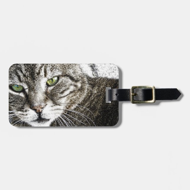 a cat luggage tag (Front Horizontal)