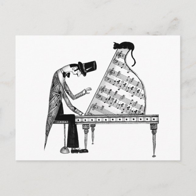 A cat named Sonata Postcard (Front)