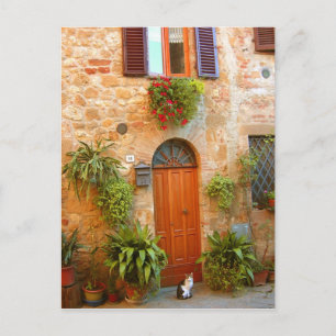 A cat seeks entrance to home in Pienza, Italy. Postcard