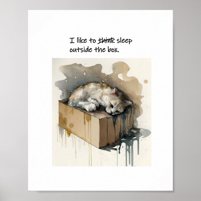 A Cat That Likes To Sleep Outside The Box Poster (Front)