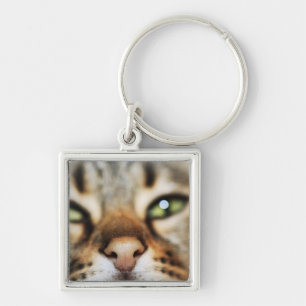 A Cat's Face Key Ring