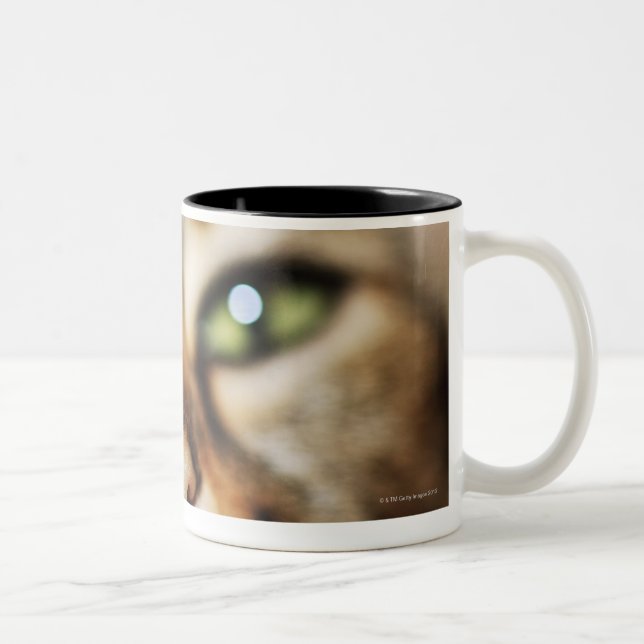 A Cat's Face Two-Tone Coffee Mug (Right)