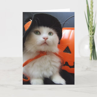 A Cat's Halloween Card
