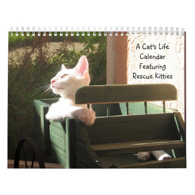 A Cat's Life Calendar - With Fun Quotes (Cover)
