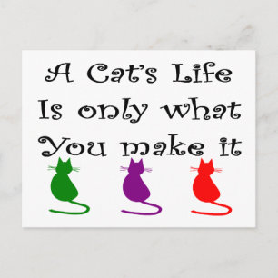 A Cat's Life is Only What You Make it... Postcard
