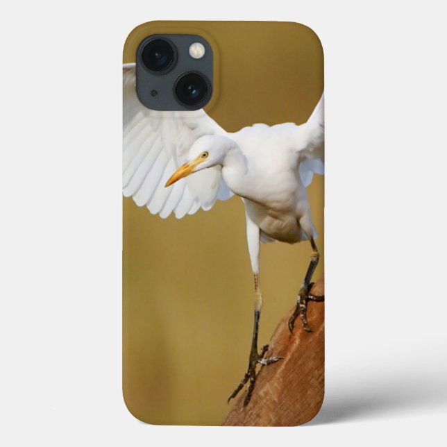A Cattle Egret (Bubulcus Ibis) Descends Case-Mate iPhone Case (Back)