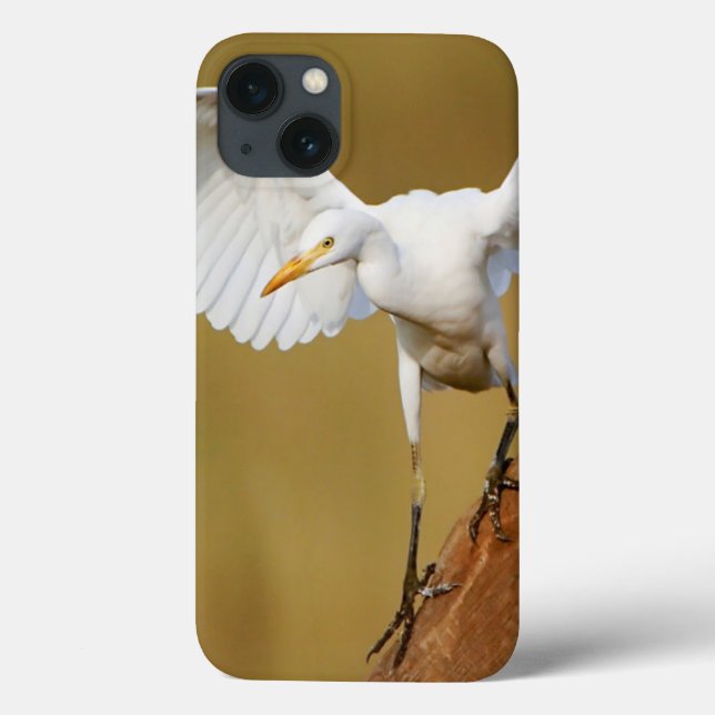 A Cattle Egret (Bubulcus Ibis) Descends Case-Mate iPhone Case (Back)
