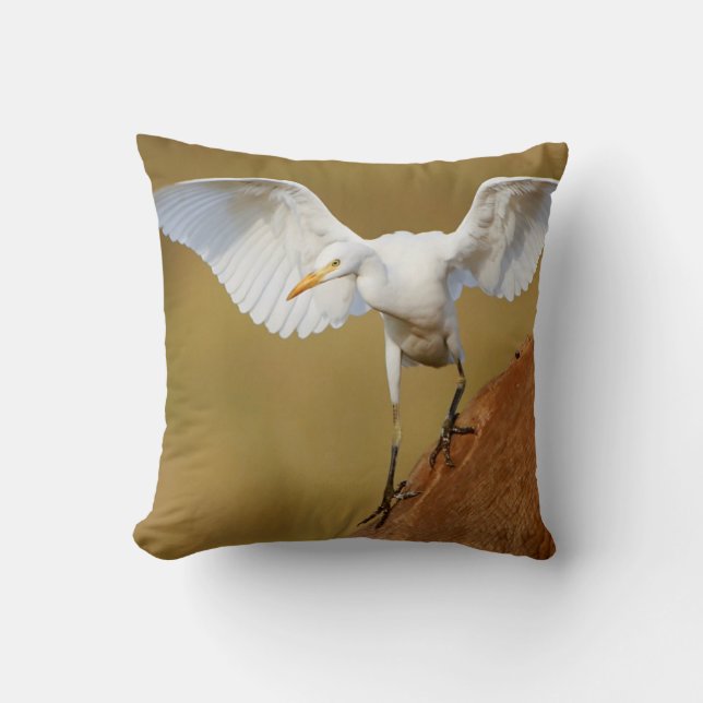 A Cattle Egret (Bubulcus Ibis) Descends Cushion (Front)