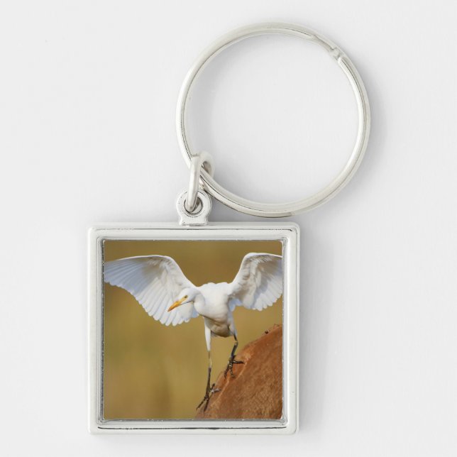 A Cattle Egret (Bubulcus Ibis) Descends Key Ring (Front)