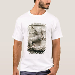A Centaur triumphing over a Lapith T-Shirt