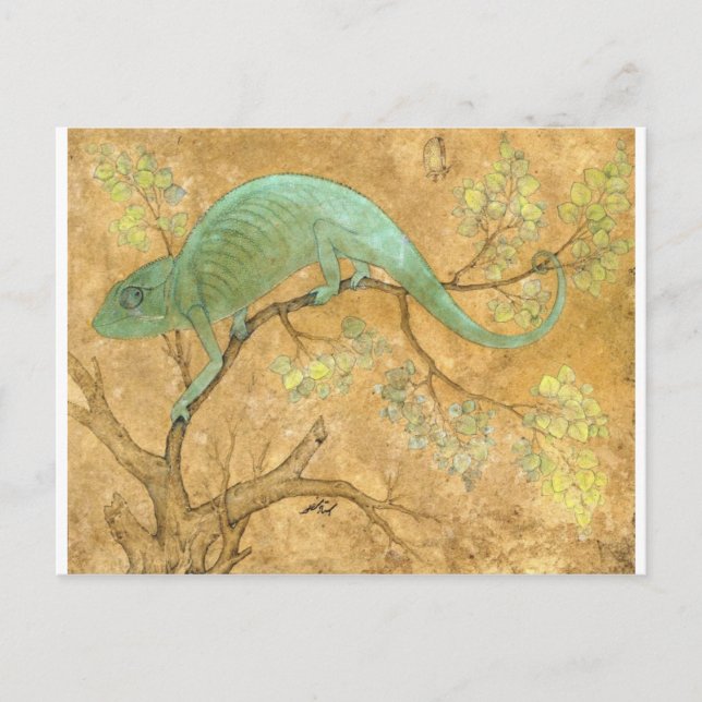 A Chameleon by Ustad Mansur Postcard (Front)