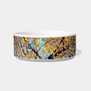 A change in the leaves bowl