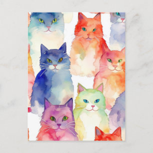 A chaos of cats postcard