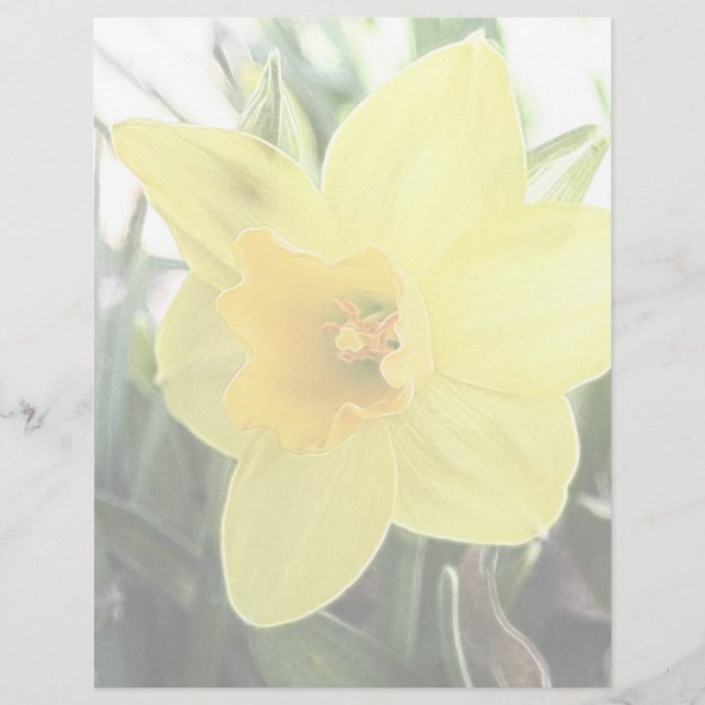 A Cheerful Yellow Daffodil (Front)