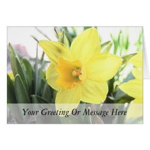 A Cheerful Yellow Daffodil