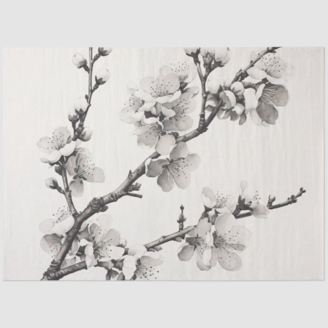 A Cherry Blossom Design Series 1 Tissue Paper (Front)