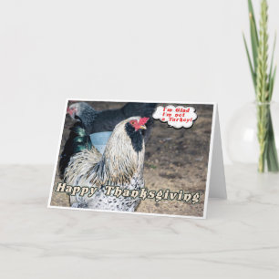 A Chickens Thanksgiving Card