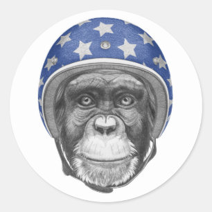 A Chimpanzee Motorcycle Rider Classic Round Sticker