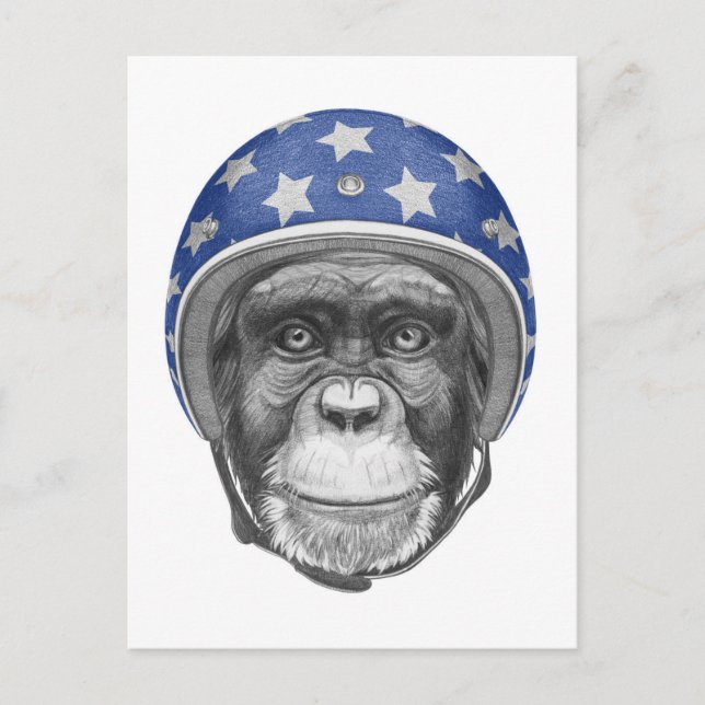 A Chimpanzee Motorcycle Rider Postcard (Front)