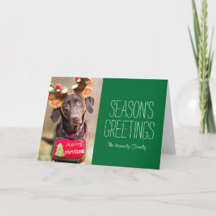 A Chocolate Labrador Retriever dog Holiday Card